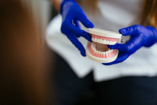 Professional  Holistic Dental Services in Monticello, FL